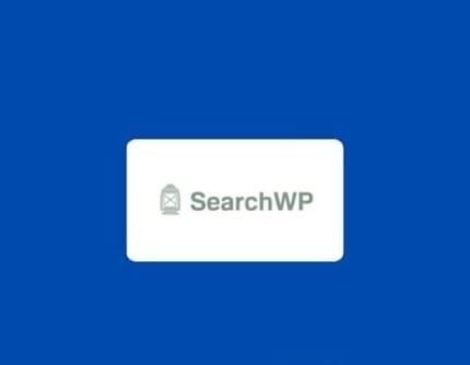 SearchWP v4.2.8 – Instantly Improve Your Site Search + Addons