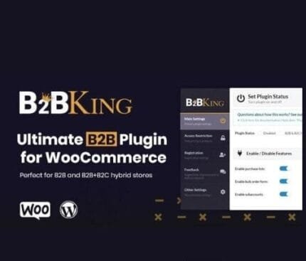 B2BKing